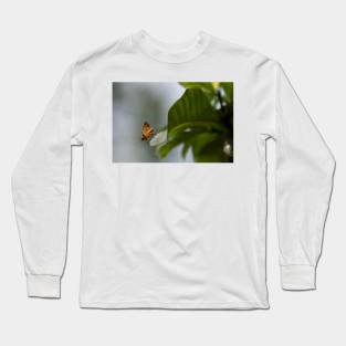 Butterfly on leaf Long Sleeve T-Shirt